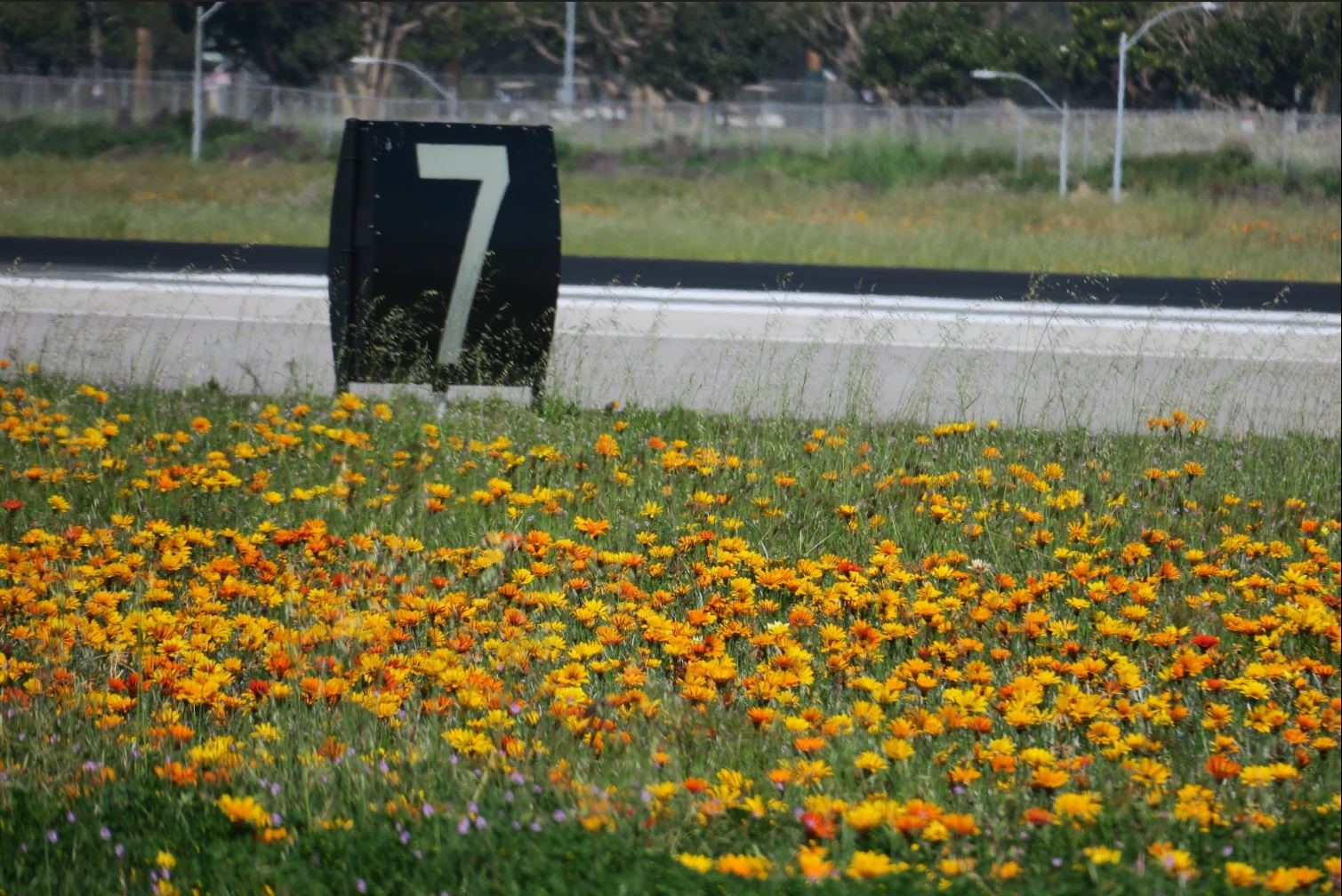 spring-runway.jpg Spring flowers on the runway