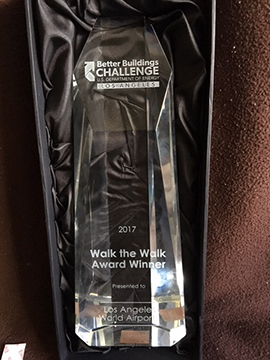 Walk the Walk Award lays down in its case