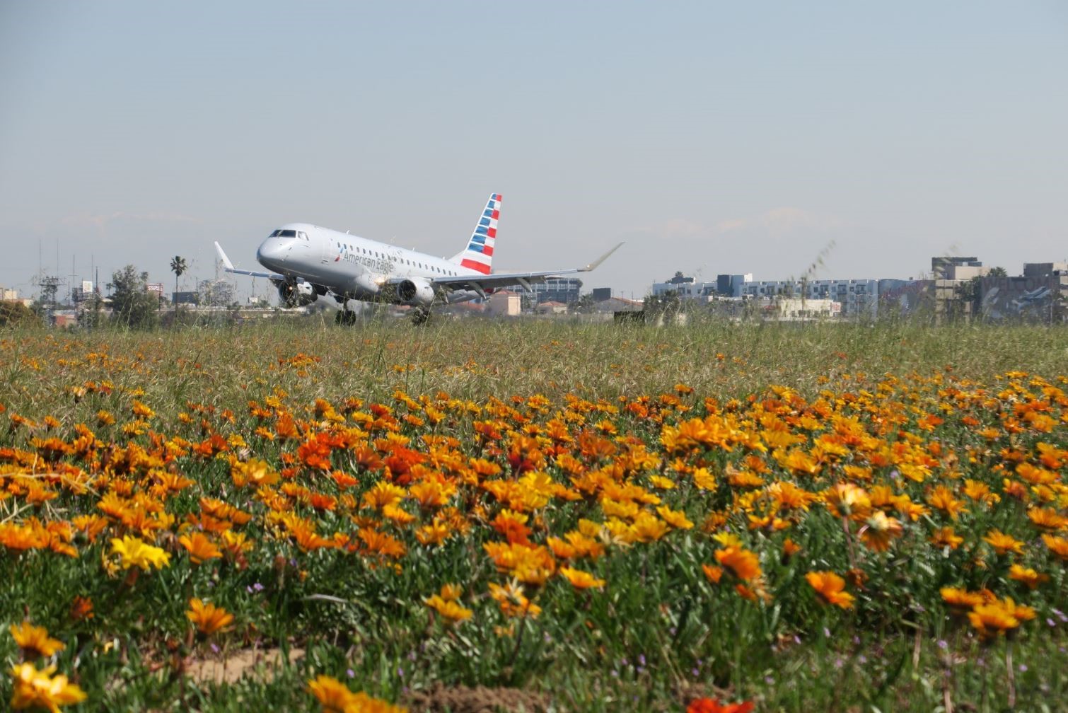 American Airline on Airfield
